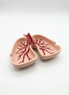 قالب سیلیکونی زیر سیگار ریه